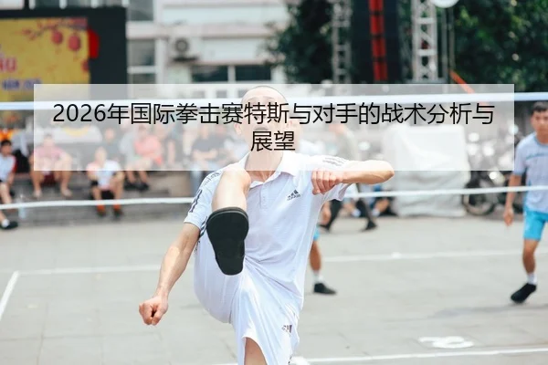 2026年国际拳击赛特斯与对手的战术分析与展望