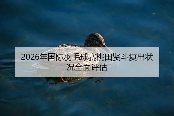 nian-guo-ji-yu-mao-qiu-sai-tao-tian-xian-dou-fu-chu-zhuang-kuang-quan-mian-ping-gu-1-890.jpg