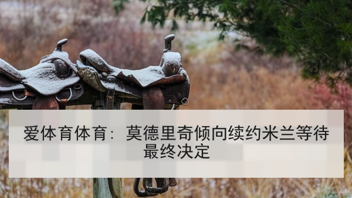 爱体育体育: 莫德里奇倾向续约米兰等待最终决定